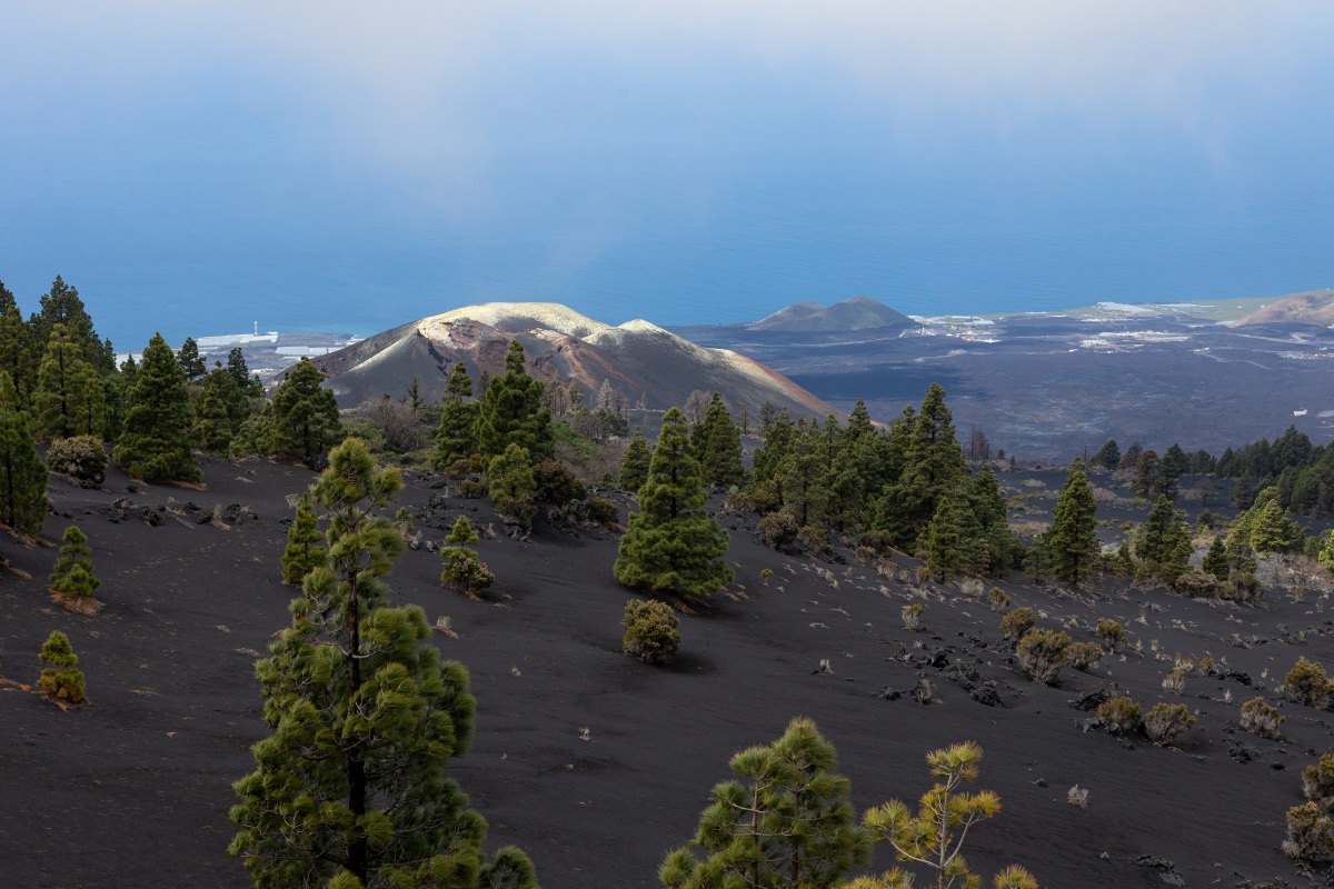 Urs Leuthäusser La Palma